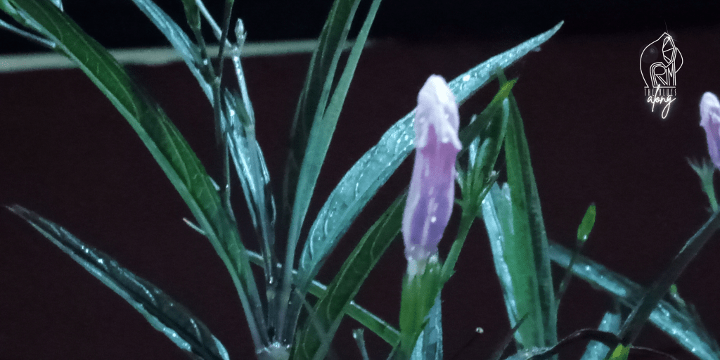 In Her Heels, In Her&nbsp;Lashes